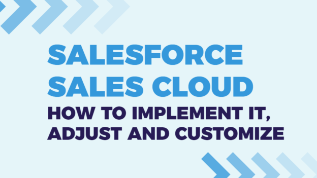 Salesforce Sales Cloud: Implementation and Adjusting, Customization